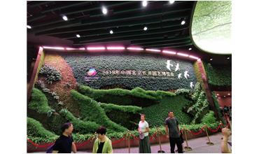 2019北京世園會，我們來啦